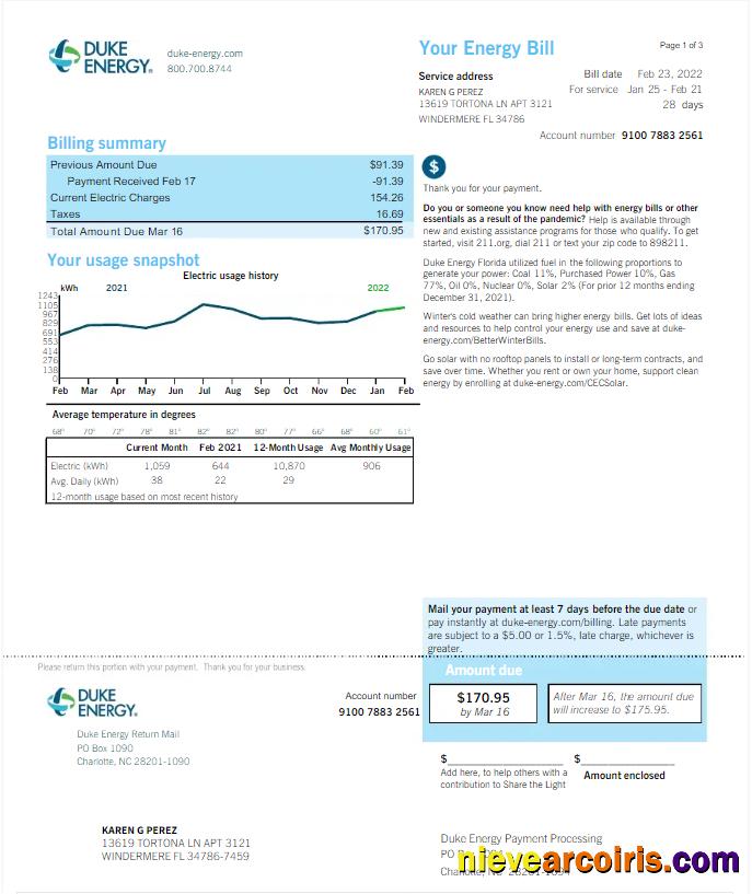 USA DUKE ENERGY utility bill, version 2